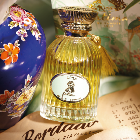 Dicle Kadın Parfümü 100ml